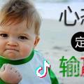健卫