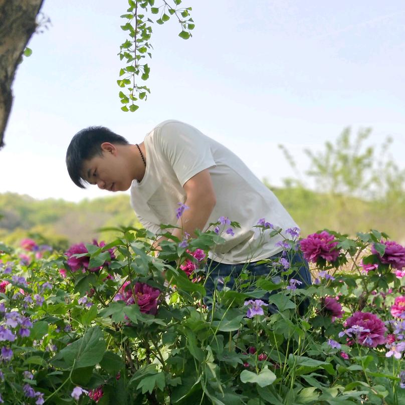 兴侦