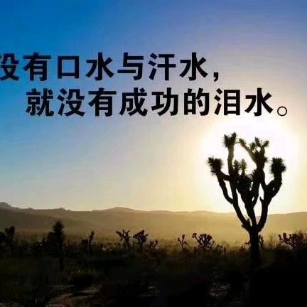 清风徐来 花自盛开