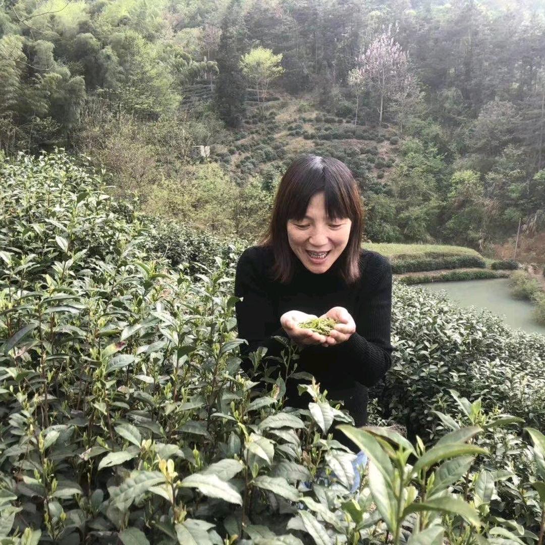 随和茶庄🍵主营安徽茗茶！