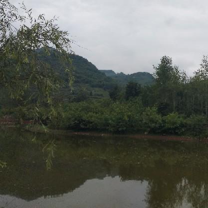 ，明天更好
