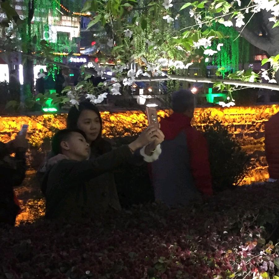 若无相欠，怎会相见
