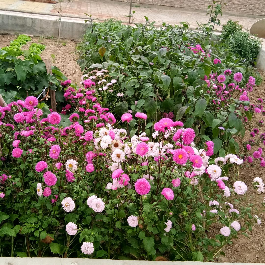 站在幸福的肩上