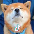 炀
