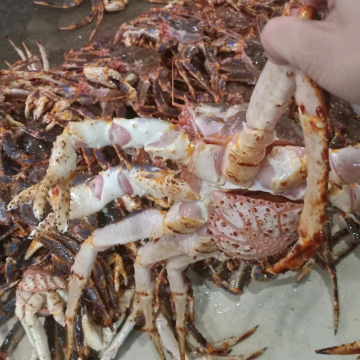 我们不一样