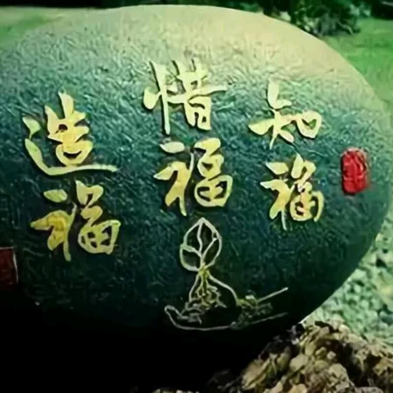 幸运鼠