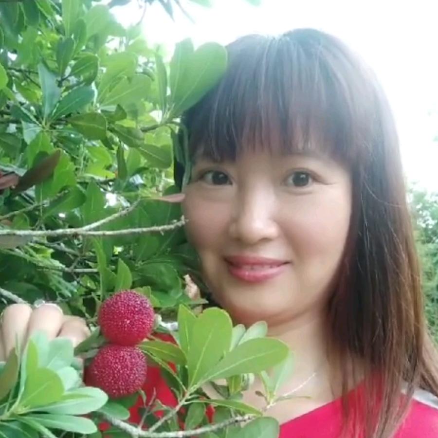 简单是福 🌹
