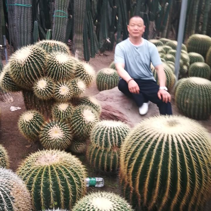 平淡
