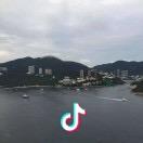 雄