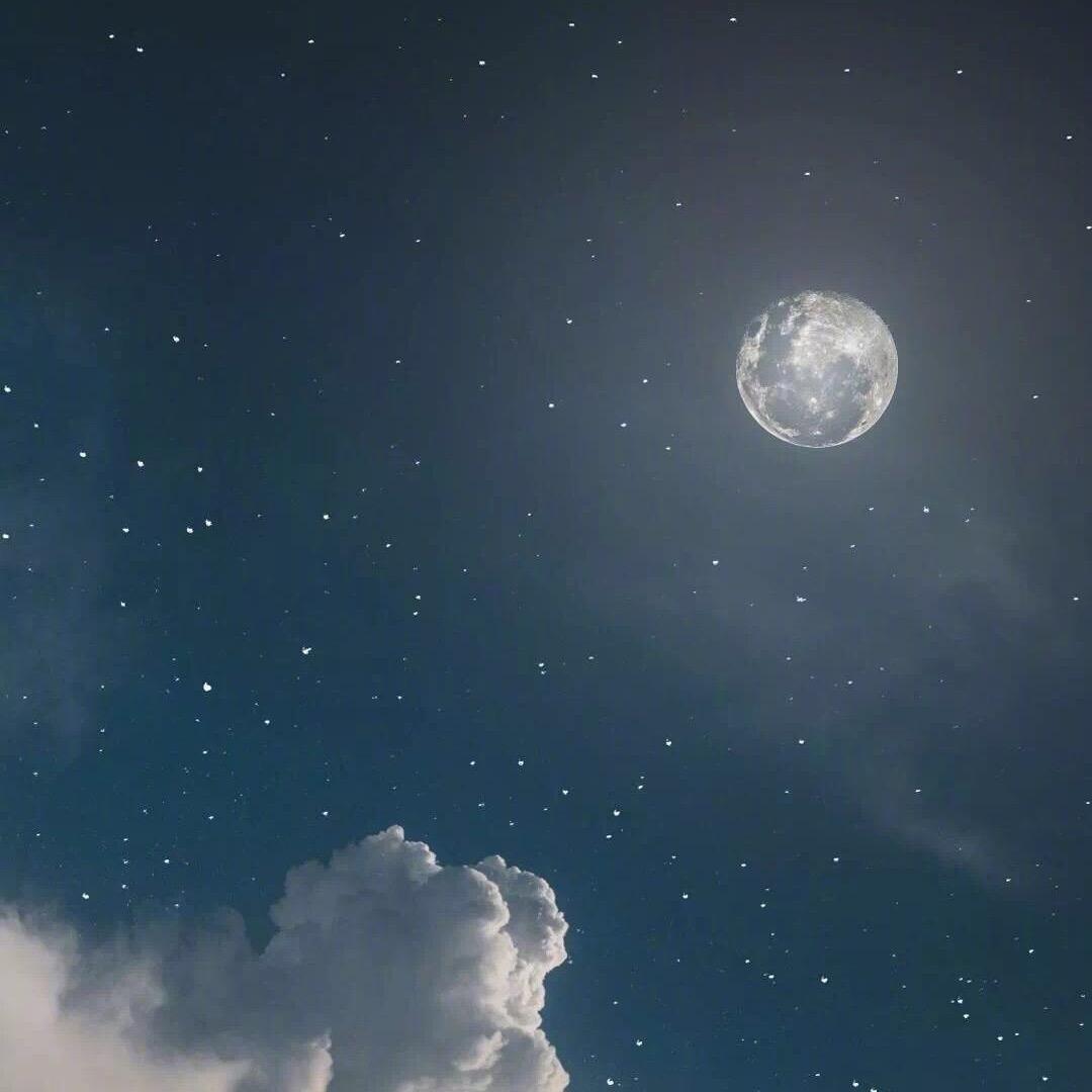 晚晚（抽象主播）