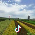 🌞斜阳巷陌ᙆʸ🌞