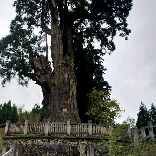 青岛鑫鑫德工贸有限公司