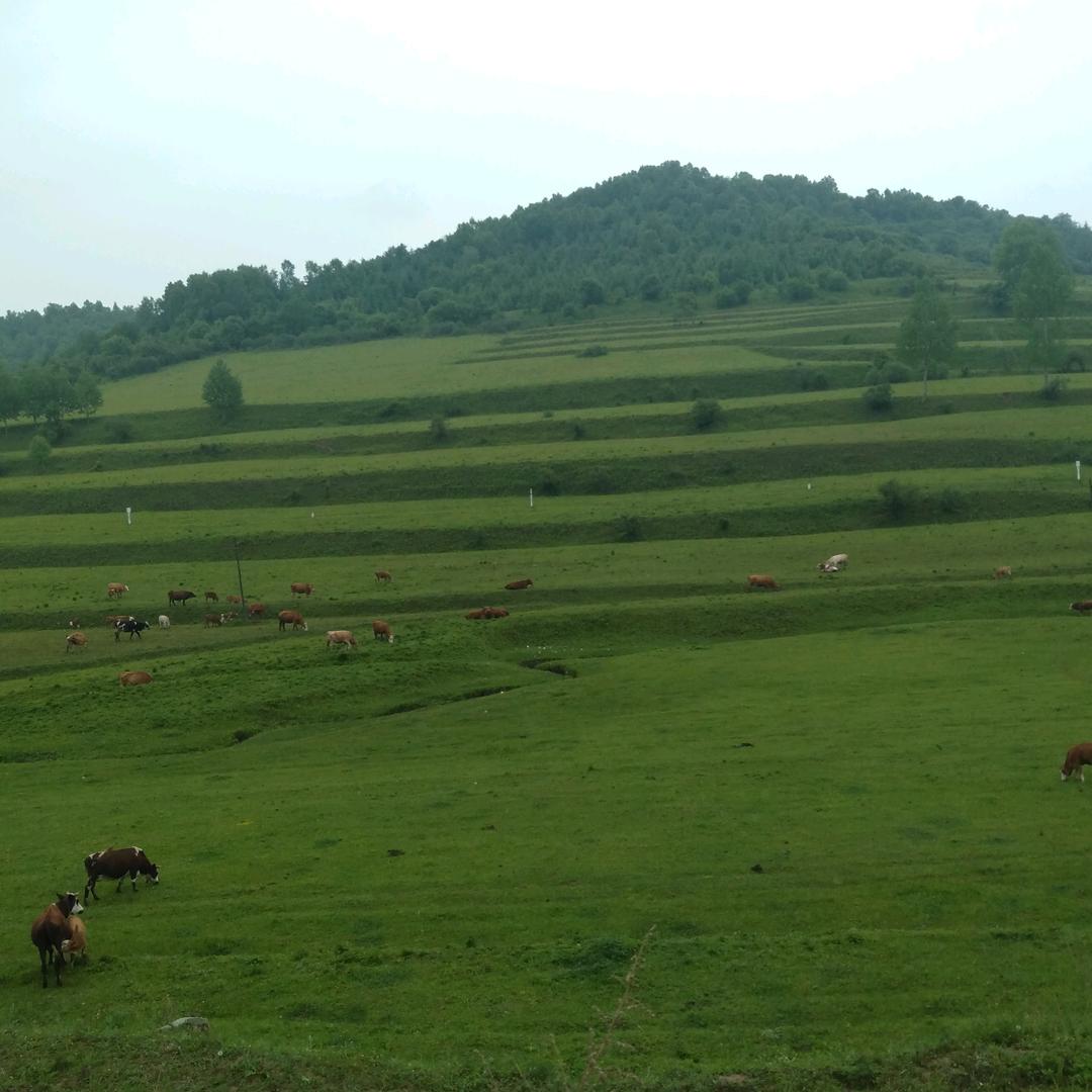 幸福一生，快乐