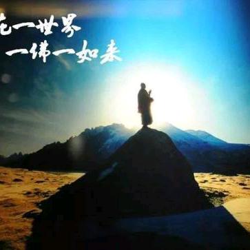 世间皆苦，唯有自渡