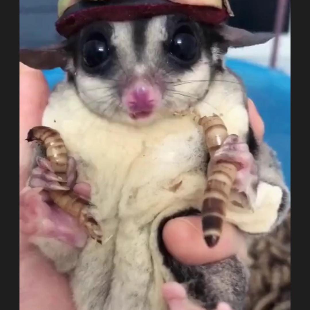 不知他人苦莫劝他人善