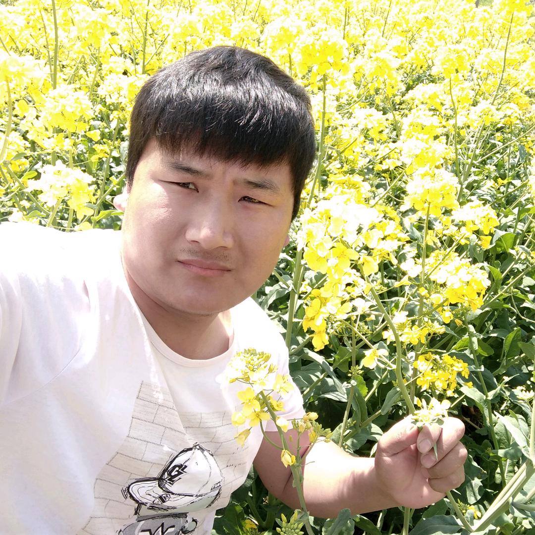 墨子