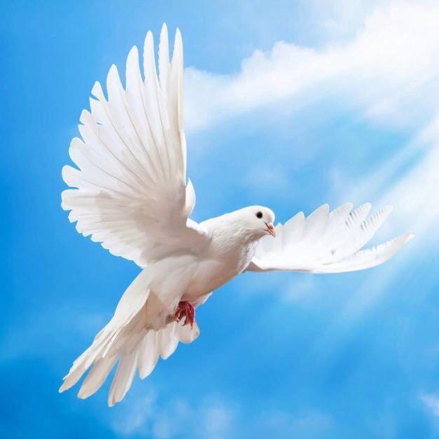 💫瓜州辉的外国媳妇