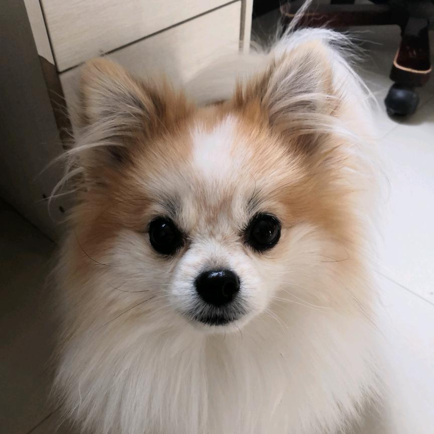 点点