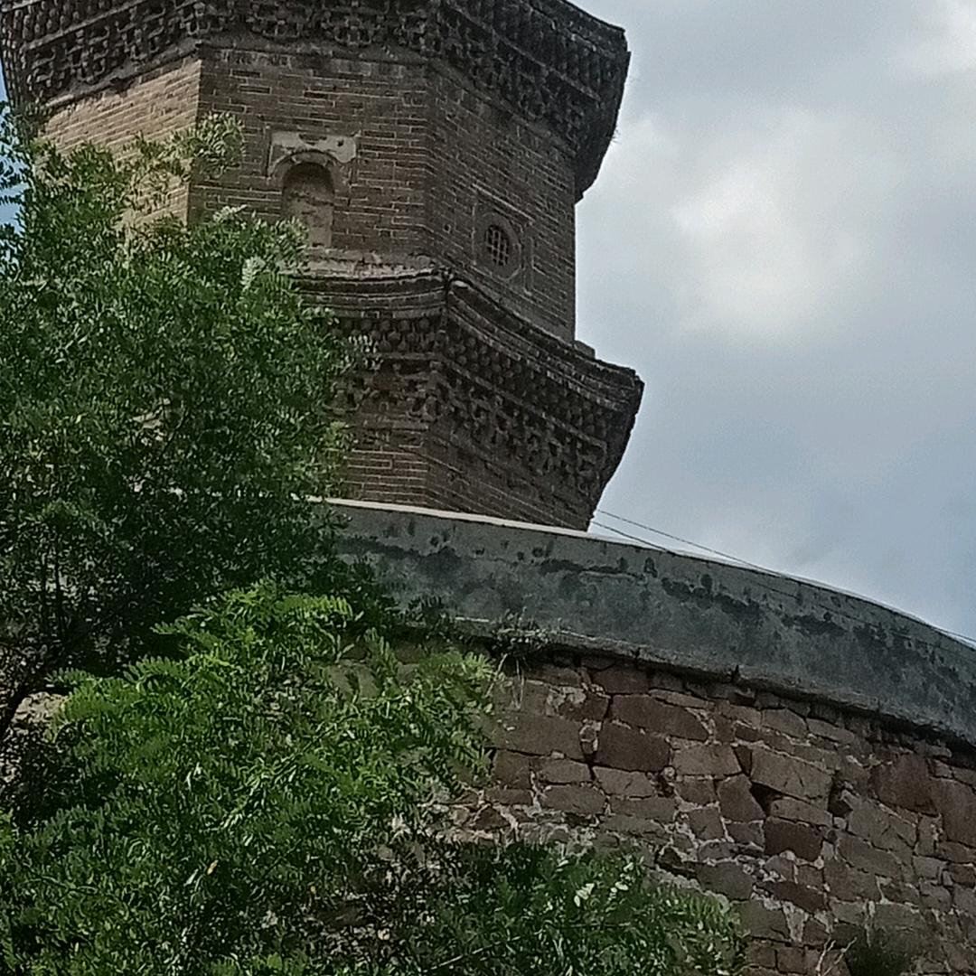 毛哥