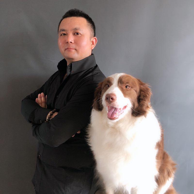 阿顺训犬工作室