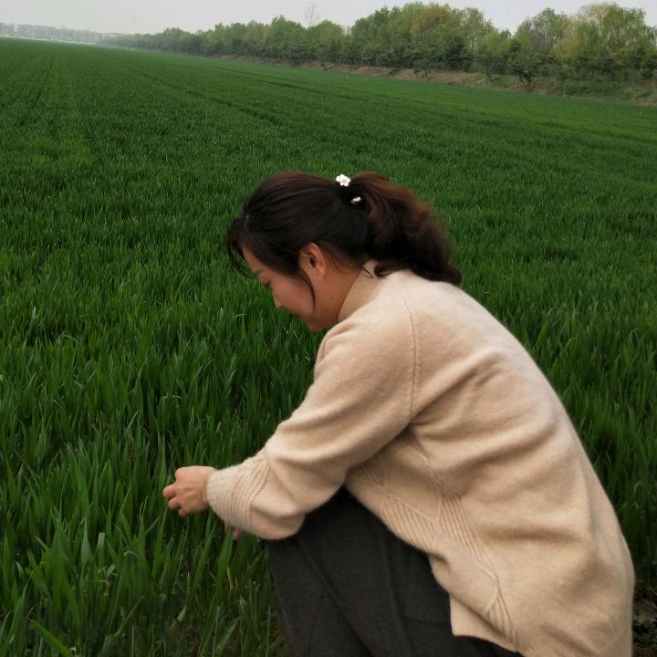 真诚可贵
