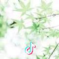 柠檬不萌
