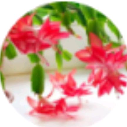 生活百味，有赞必复！