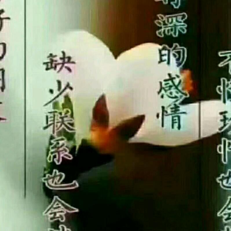 我想和你……