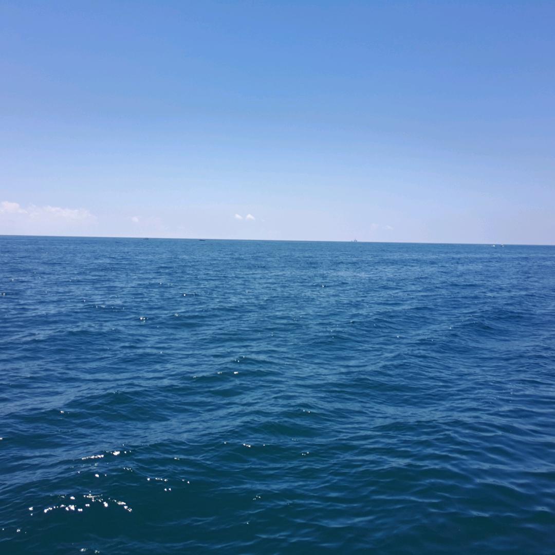 木偶要如影随形