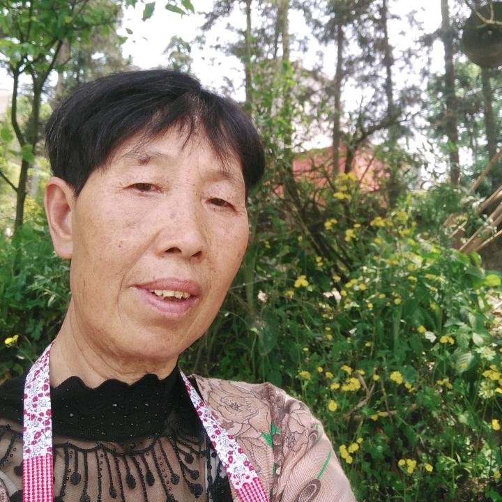 岁月静好
