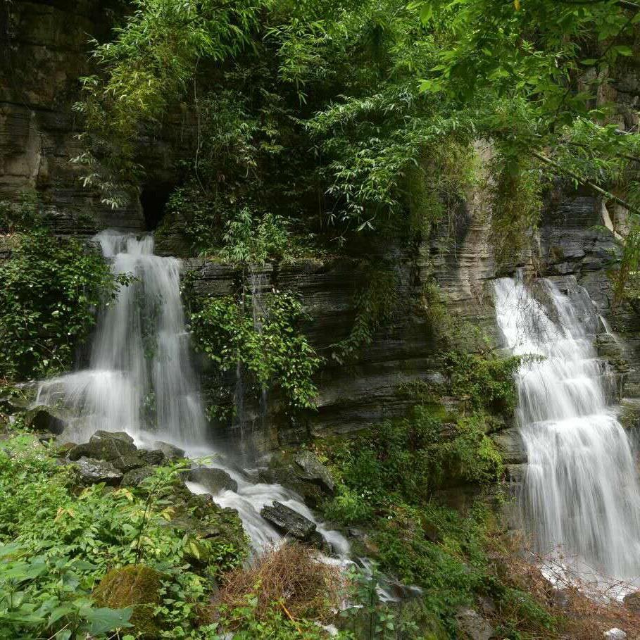 雾锁情深（猛虎团）