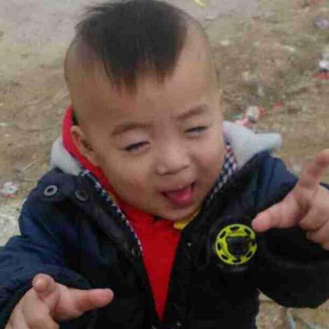 志