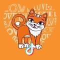 张牙舞爪喵小姐🐈