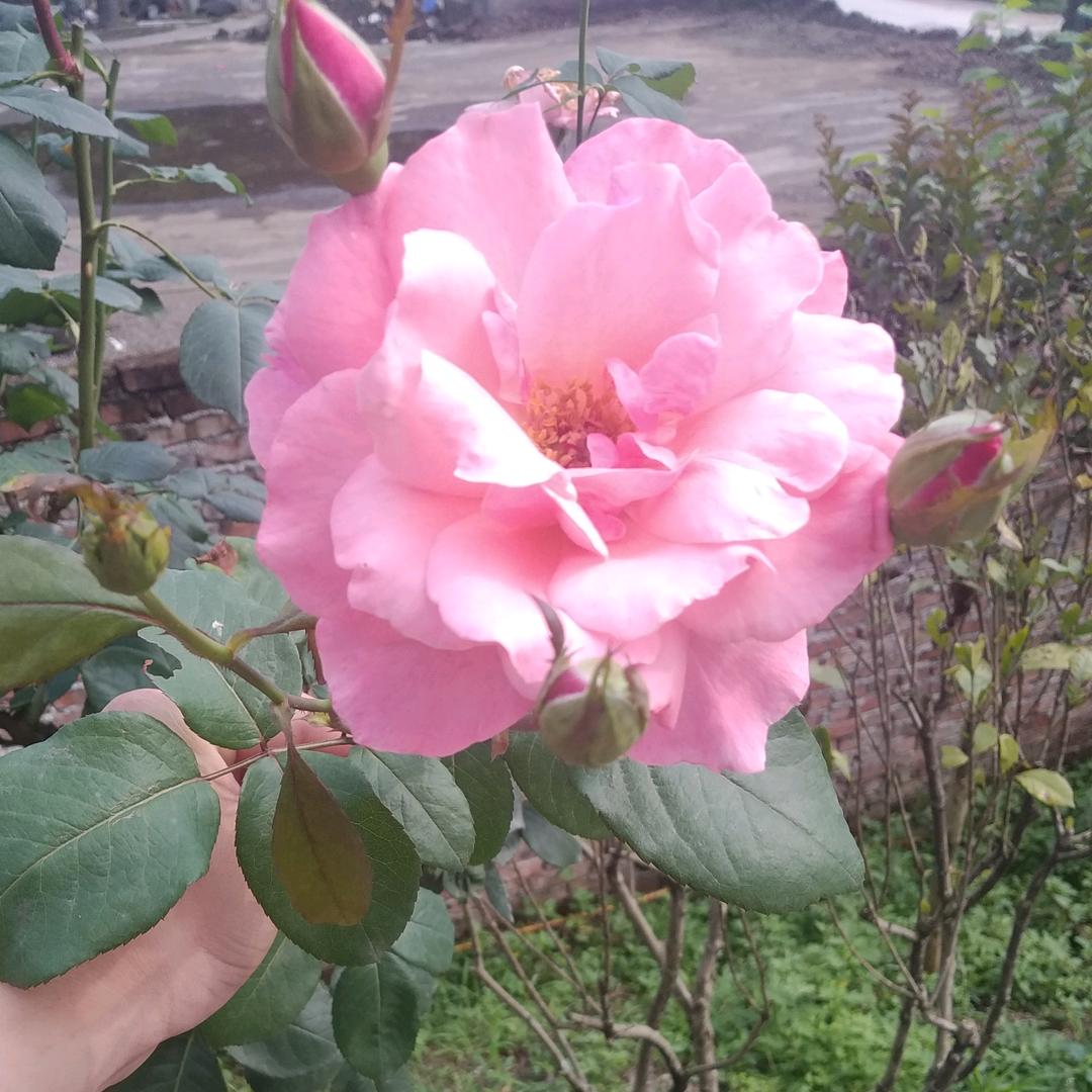 一切随缘，暖（回关）