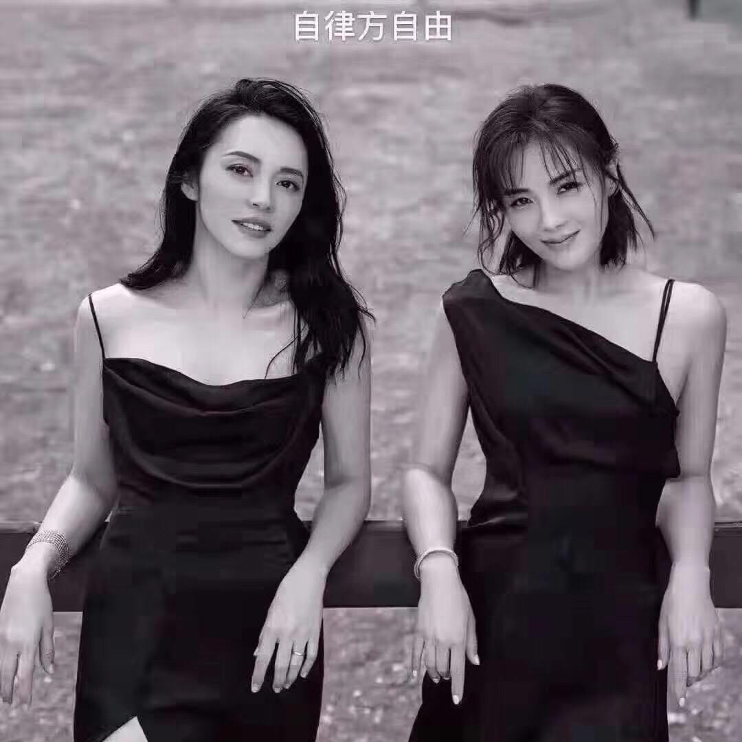 兔兔🐰