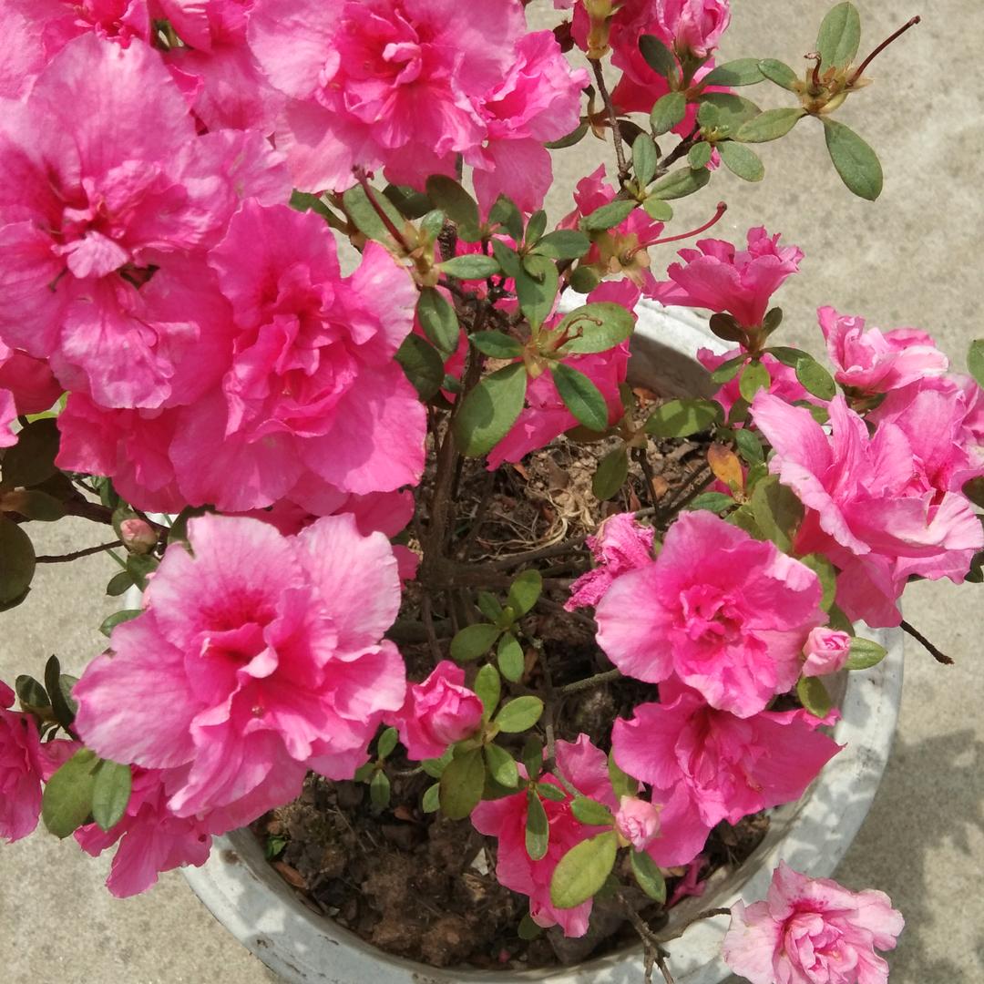 用户866865365670我爱我家