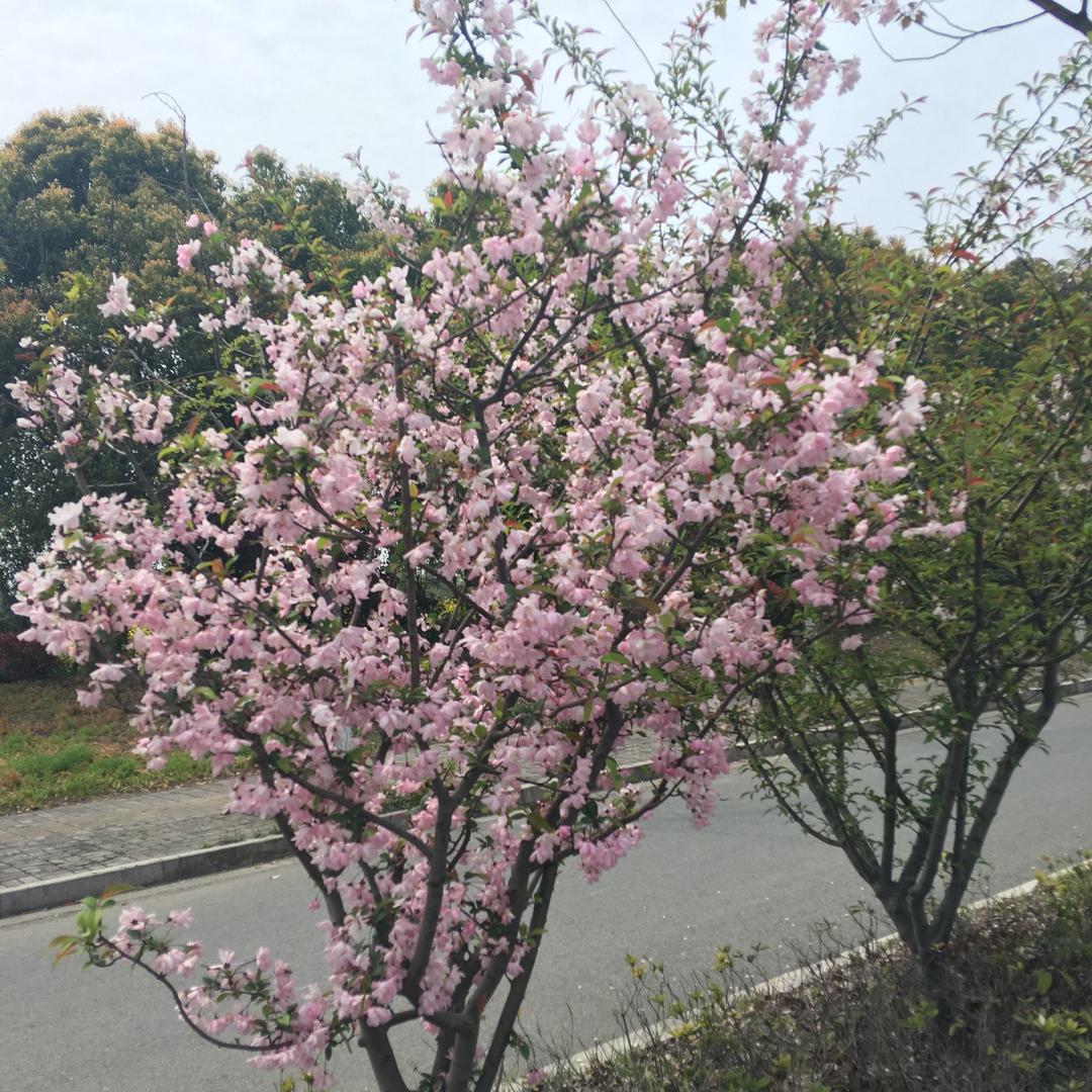 扬州铭宇电脑手机批发商-梁文明