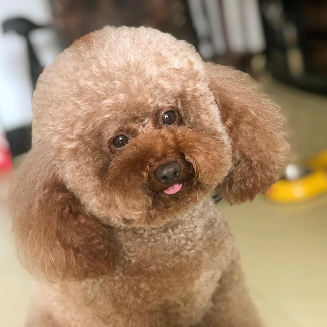 毛毛麻麻