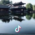 weizhi