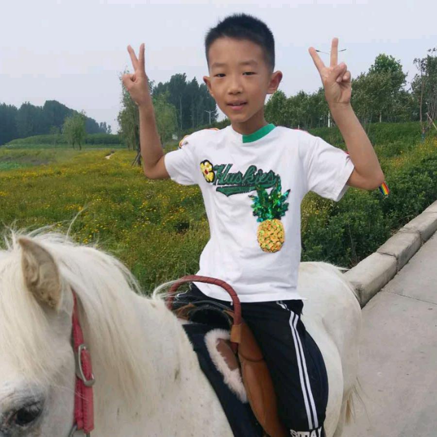 不念过往张