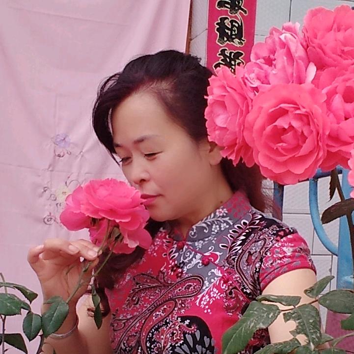 用户4504732949321萍萍
