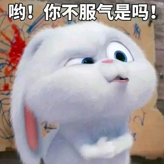 那一莫温柔