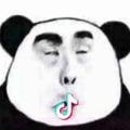 潇洒的小黑