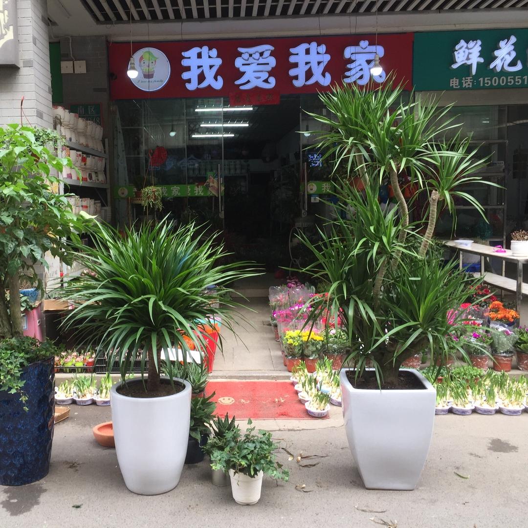 我爱我家园艺花店