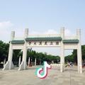 包子一胡歌