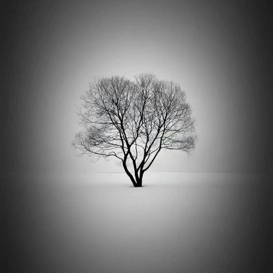 淄博腾信系统门窗厂