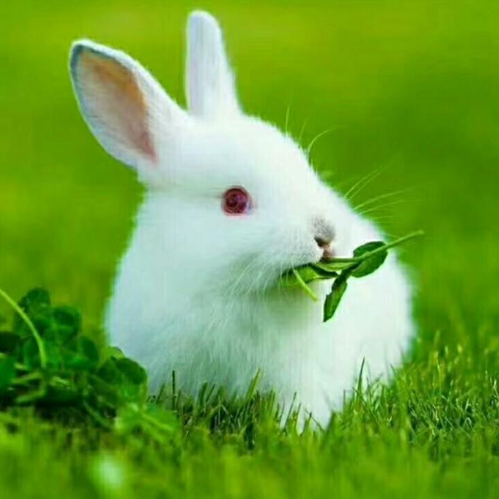 最美的相遇——完美