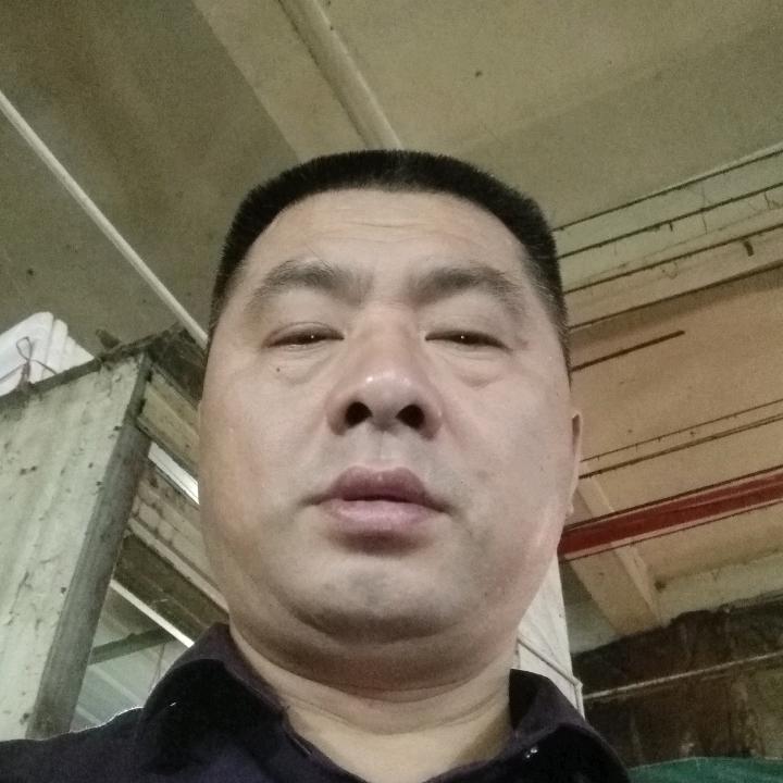 鸡胖你