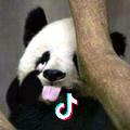 皮卡羊