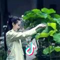 听雨看花